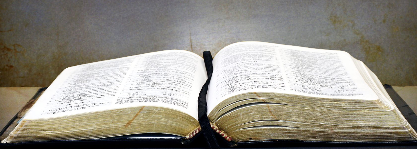 Дом молитвы библия. Bible Cover. Evangelical free will.
